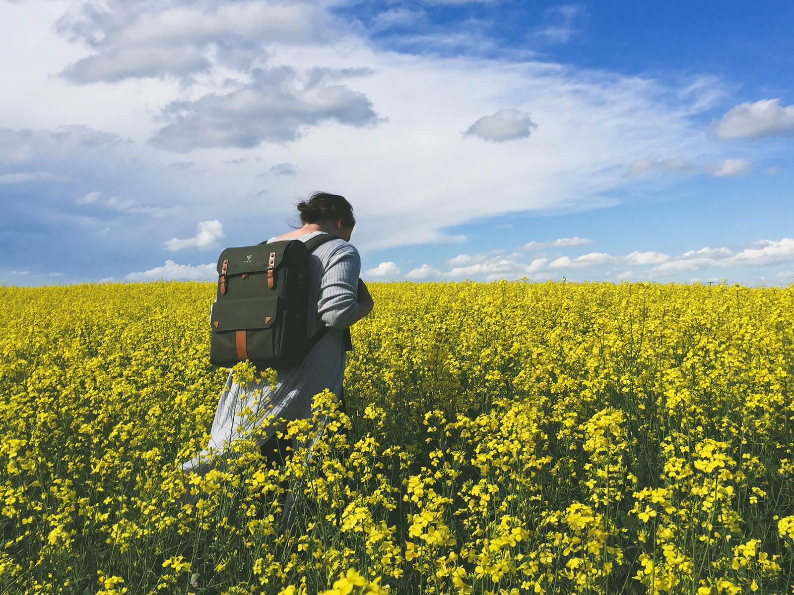 Der Wander im Rapsfeld mit einen langen Titel. Eigentlich ist der Titel zu lang, aber es ist eben so wie es ist, da kann man leider nichts machen.